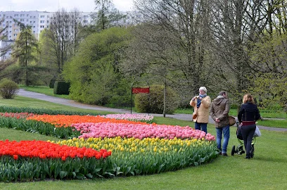 Ogród Botaniczny w Łodzi